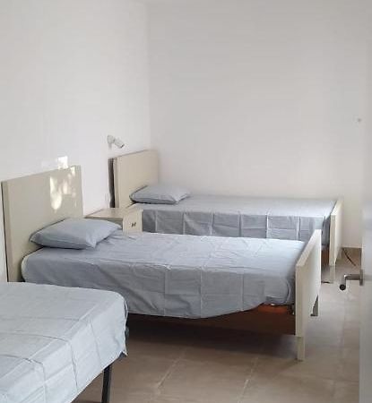 Pis Carretera Santa Pau Apartamento Olot Exterior foto
