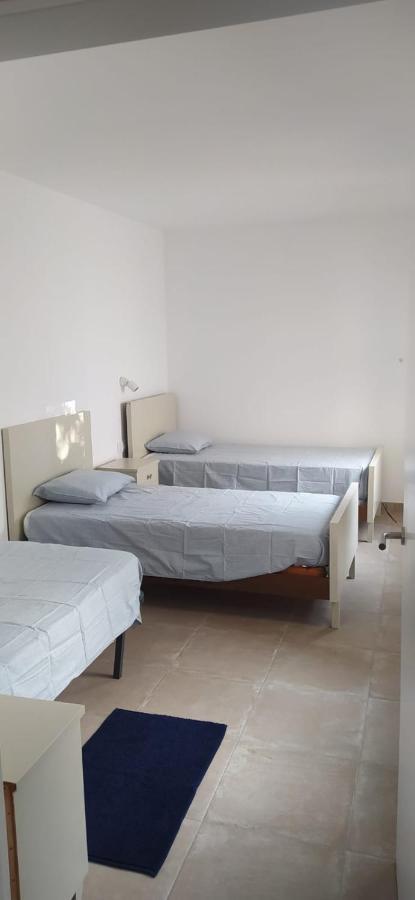 Pis Carretera Santa Pau Apartamento Olot Exterior foto